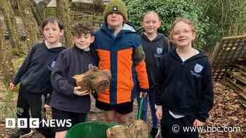 Cornish primary school cuts food waste by 85%