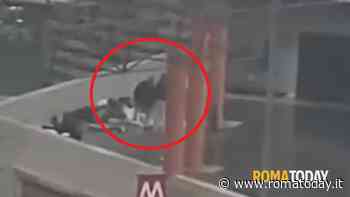 Cipro-landia, sesso e bivacchi sotto alle finestre delle abitazioni: "Inaccettabile"