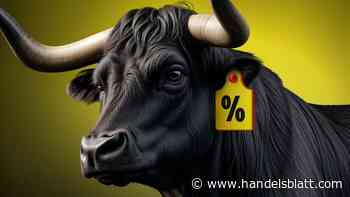 Geldanlage: 15 vielversprechende Aktien mit Potenzial, die Sie jetzt kennen sollten