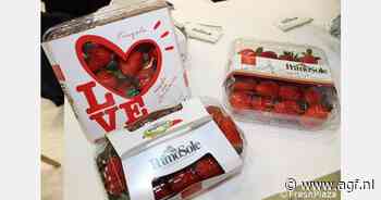 Veel "Love"-aardbeienverpakkingen in aanloop naar Valentijnsdag in Basilicata