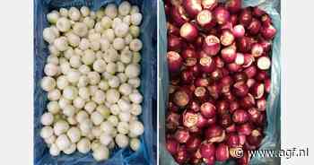 "Met het schillen van ondermaat uien en sjalotten kunnen we onze volledige teelt verwerken"