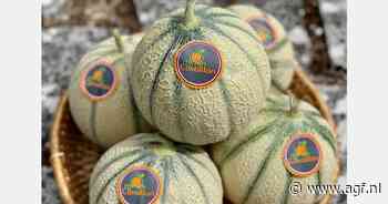 De Cavaillon meloen heeft eindelijk zijn BGA