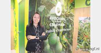 "Colombiaanse avocado onderscheidt zich met romige textuur en jaarrond aanbod"