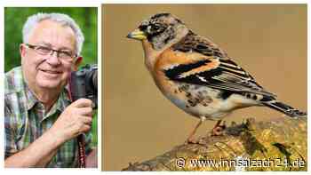 Keine Winterruhe für den Tier-Fotografen: Paul Bogner ist besonderer Schnappschuss gelungen