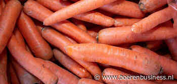 Peenmarkt bevindt zich beetje in een impasse