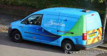 British Gas, Octopus, EON and EDF customers given £338 after daily fee axed