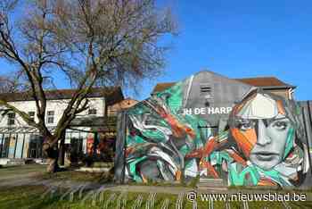 Jeugdraad Zwevegem opent deuren naar arbeidsmarkt met jobcafé: “Concrete hulp bij zoektocht naar werk”