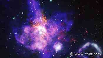 NASA Unveils Tarantula Nebula as 'Stellar Bouquet' for Valentine's Day