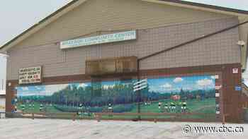 Community of Braeside shaken by series of iPhone robberies — with 2 boys charged