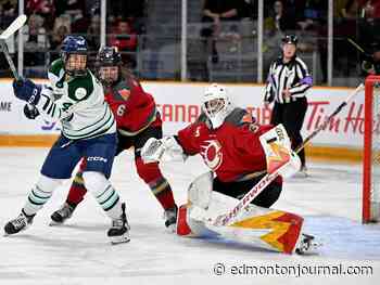 Is Edmonton the next landing spot for professional women's hockey?