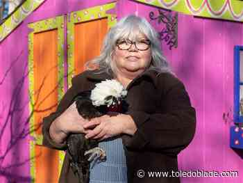 Will the rising cost of eggs lead to more backyard flocks of hens?