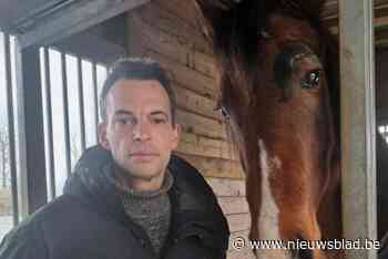 Illegale schietpartijen schrikken ook paarden op: “En wat als ze door een late jogger worden betrapt?”