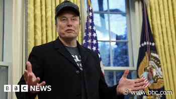 Elon Musk denies 'hostile takeover' of government in surprise White House appearance