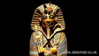 Scientists reveal what ancient Egyptian mummies smell like - including notes of cheese, vomit and urine