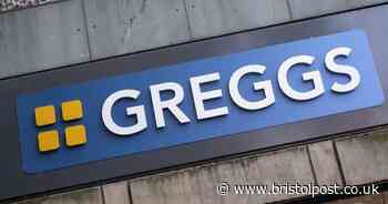 Hilarious pigeon fight blocks entrance to Greggs