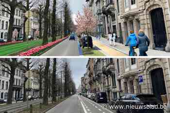 Buurtbewoners vragen om grijze stadsautosnelweg allures van vroeger terug te geven: “Graag meer bomen en meer plaats voor voetgangers en fietsers”