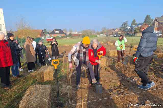 Leerlingen planten microbos in tuin van woonzorgcentrum: “De ideale plek om in de zomer tot rust te komen”