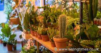 Plant pop-up offering free blooms at Ealing shops centre