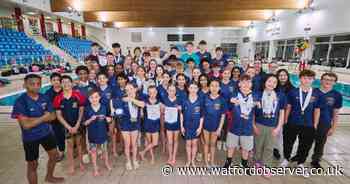 Watford Swimming Club shines at county championships