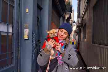 Buurtbewoners krijgen door hoge containers geen zonlicht meer in hun huizen: “We leven al drie maanden in het donker”