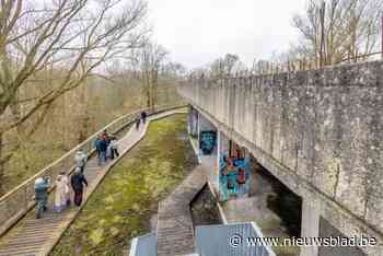 Opening mysterieus Mechels spookhotel zorgt meteen voor grote toeloop: “De ruïne verwondert en fascineert”