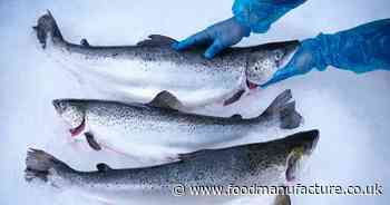 £120m salmon farm plan faces legal challenge