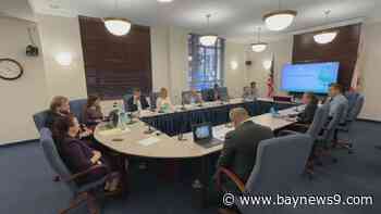 St. Pete city leaders discuss crane safety, say current laws too broad