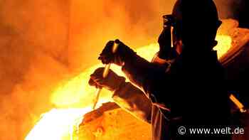 „Scholz ist dafür, zunächst Atomstrom einzusetzen auf dem Weg zu grünem Stahl“