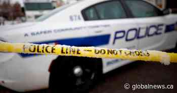 Ontario man facing charges after puppies found in ‘abysmal conditions’