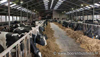 Flinke krimp zeugenstapel, ook minder melkkoeien