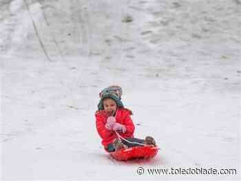 Photo gallery: Best pictures for week ending Feb. 13