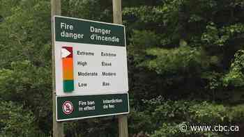 Parks Canada axes free backcountry firewood at Kejimkujik