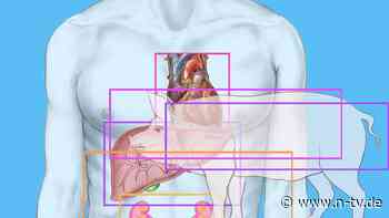 Nieren, Herzen, Lungen, Haut: Wie Schweine zu Organspendern werden könnten