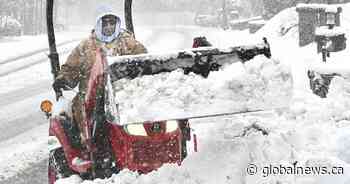 Toronto braces for third snow dump in one week, parking ban still in effect