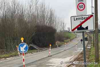 Boslaan wordt veiliger en groener: “Weg versmalt van zeven naar zes meter breed”