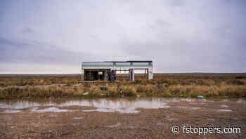 Chasing Likes, Losing Vision: Is Social Media Warping Photography?