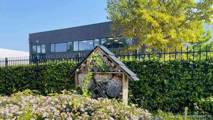 Grauwe bedrijventerreinen moeten veranderen in groene oases