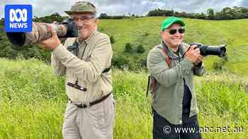 How birdwatching is taking flight as Australia's new tourism goldmine