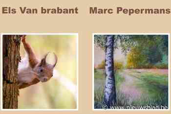 Fotografe en kunstschilder stellen samen werk tentoon in Oude Pastorij