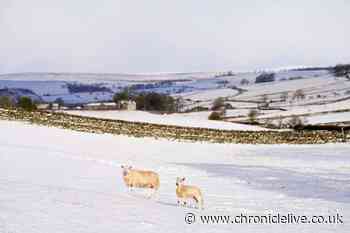 North east areas that will 'wake up to snow' as Met Office issue yellow weather warning