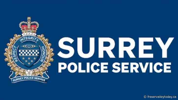 Overall crime down in 2024 compared to previous year: Surrey Police