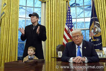 SAUNDERS: Woke waste at USAID perfect place for Trump, Musk to chop