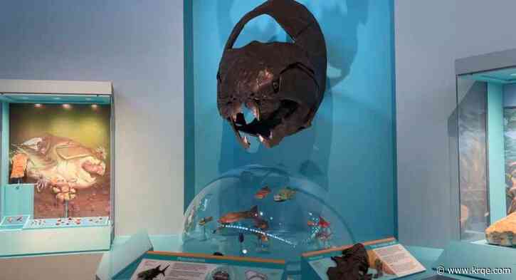 'A 300-million-year journey': Ancient Life exhibit opening at NM Museum of Natural History & Science