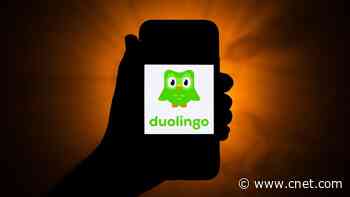 Duolingo Is Selling a Coffin for Dead Mascot Duo the Owl