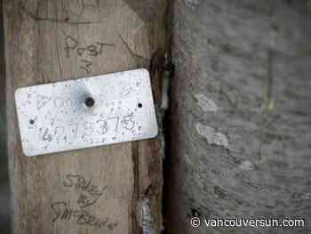 New claim-staking process an 'existential' threat to mining in B.C., lobby group warns