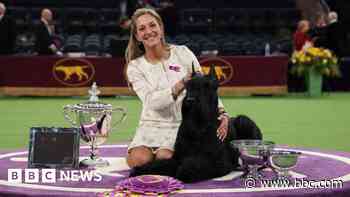 Weekly quiz: Who did Monty beat to win the top US dog show?