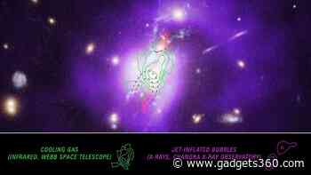 Webb Telescope Unveils Hidden Process Behind Star Formation in Phoenix Cluster