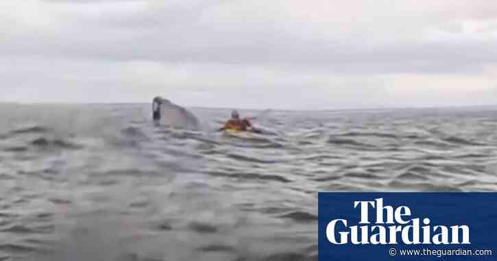 Just a fluke: whale spits out kayaker in incident captured on camera