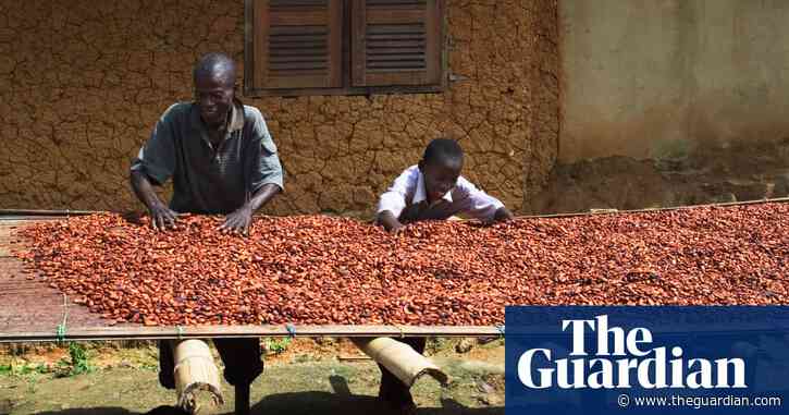 Climate crisis contributing to chocolate market meltdown, research finds