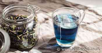 Tea drinkers could beat and avoid several diseases by switching to 'blue' blend